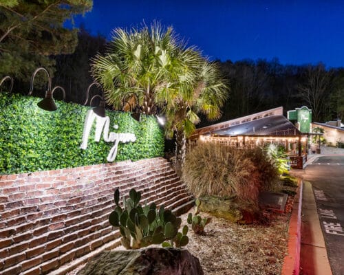 Restaurant exterior with green foliage and lights at night.